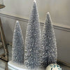 Frosted Silver Christmas Tree Table Decor